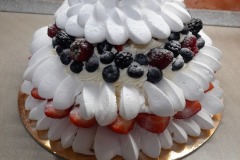Pavlova